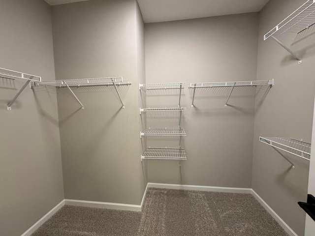 spacious closet with carpet flooring