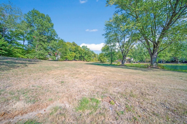 view of yard featuring a water view