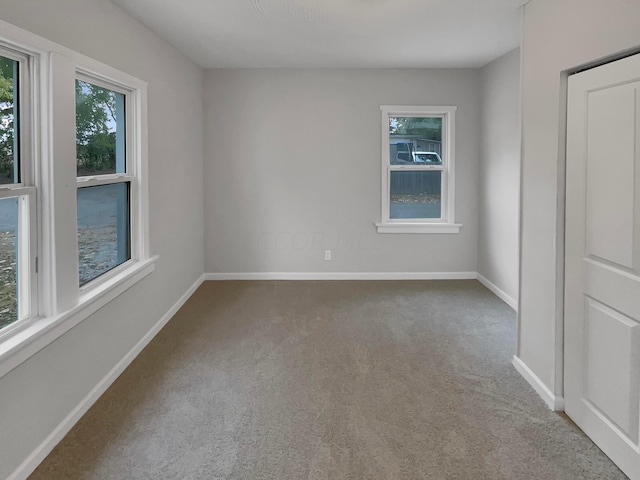 empty room featuring carpet flooring