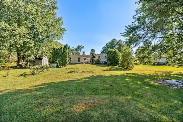 view of yard featuring a storage shed