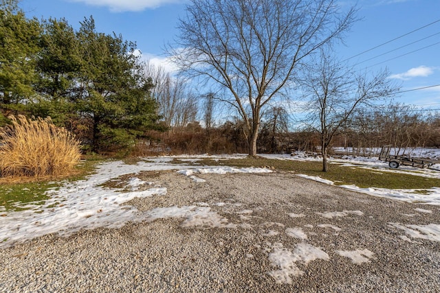 view of snowy yard