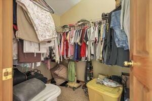 walk in closet with carpet