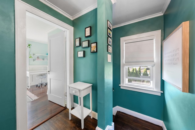 hall featuring dark hardwood / wood-style flooring and crown molding