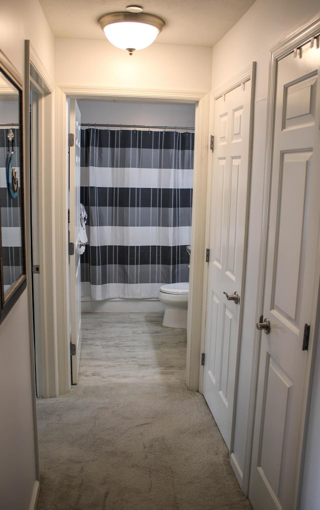 4401 Hunts Landing Rd Unit 202, Hebron, OH 43025 - corridor with carpet floors