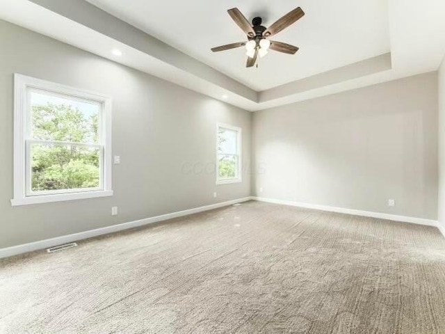 unfurnished room with carpet, ceiling fan, and a tray ceiling