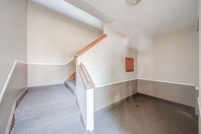 staircase featuring carpet