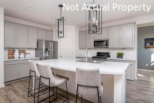 kitchen featuring gray cabinetry, hanging light fixtures, stainless steel appliances, wood-type flooring, and an island with sink