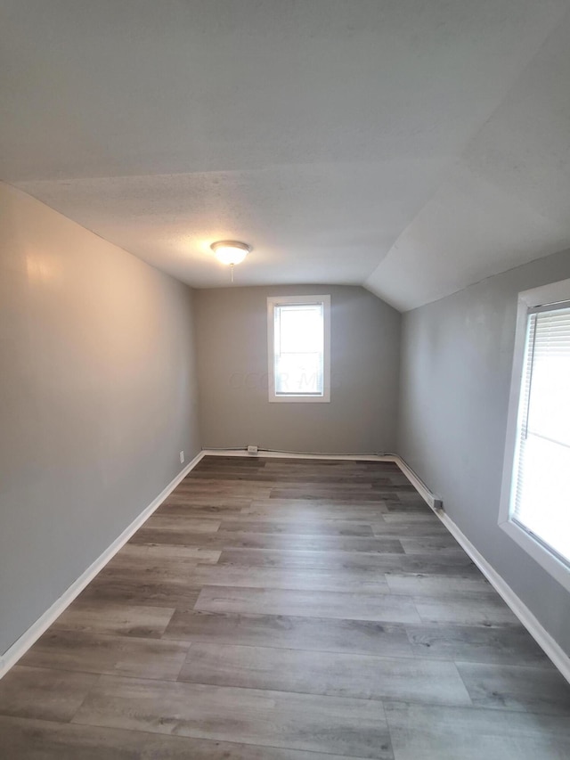 bonus room with lofted ceiling and hardwood / wood-style flooring