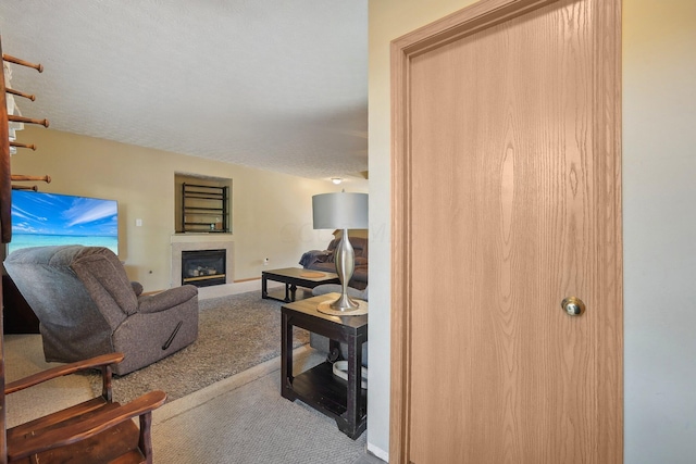 living room featuring carpet flooring and a textured ceiling