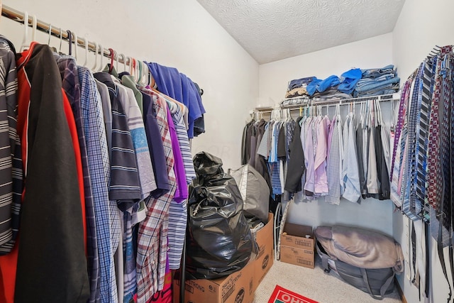 spacious closet featuring carpet