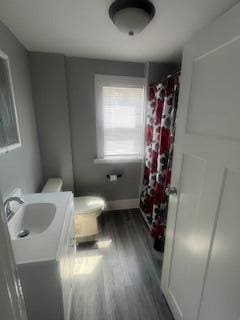 bathroom with vanity, hardwood / wood-style flooring, toilet, and curtained shower