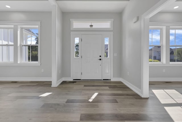 13917 Fantasy Way, Pickerington, OH 43147 - foyer featuring hardwood / wood-style floors and plenty of natural light