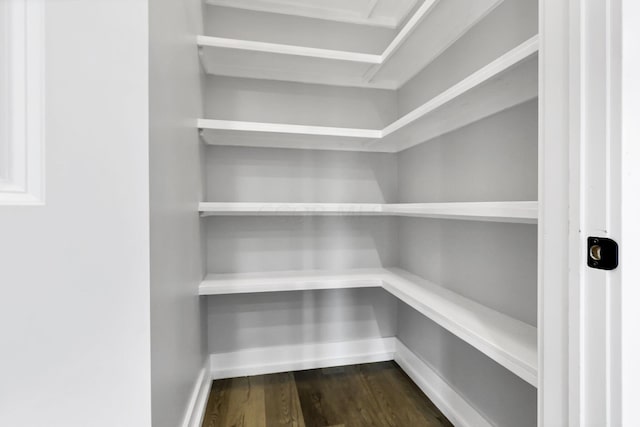 13917 Fantasy Way, Pickerington, OH 43147 - view of pantry