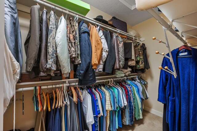 spacious closet with carpet