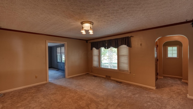 empty room featuring light carpet and a textured ceiling