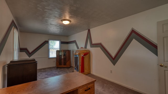 interior space featuring carpet and a textured ceiling