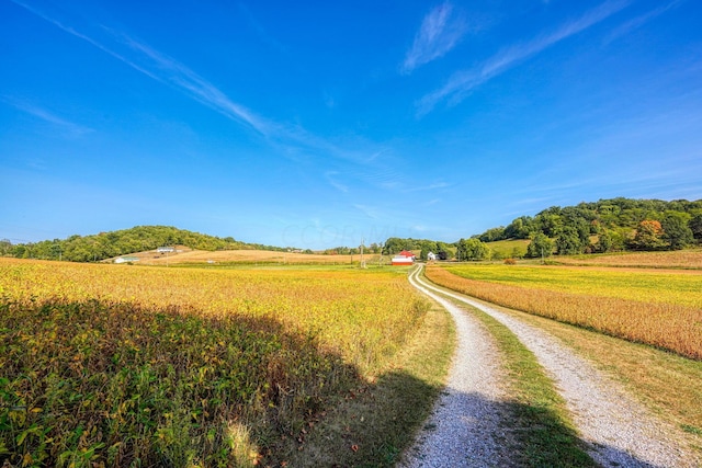 view of road with a rural view