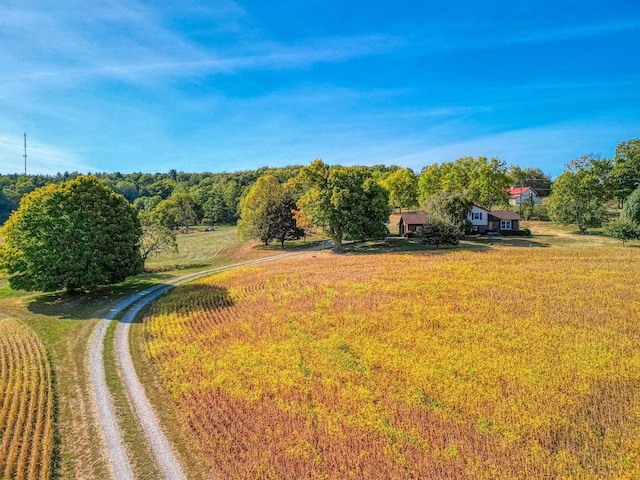 view of yard featuring a rural view