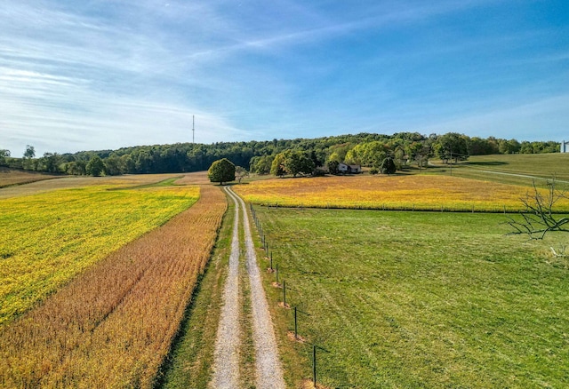 view of community with a rural view and a lawn