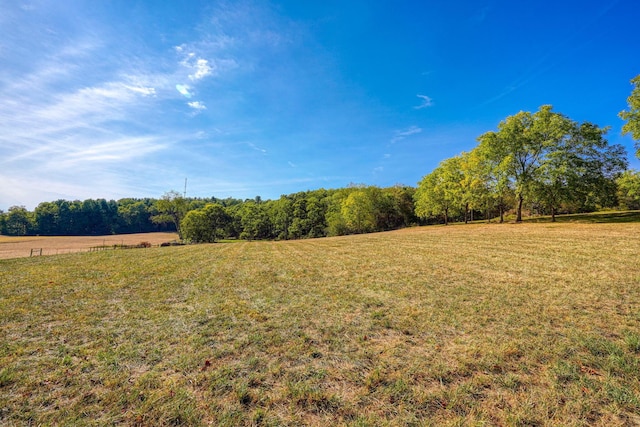 view of yard featuring a rural view