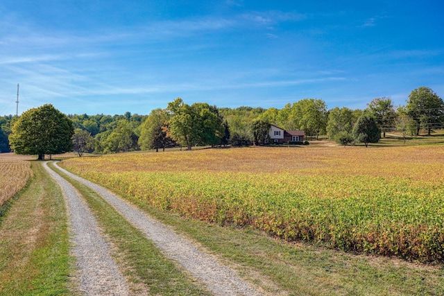 view of road with a rural view