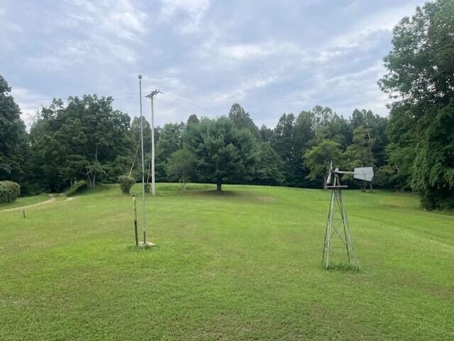 view of community featuring a lawn