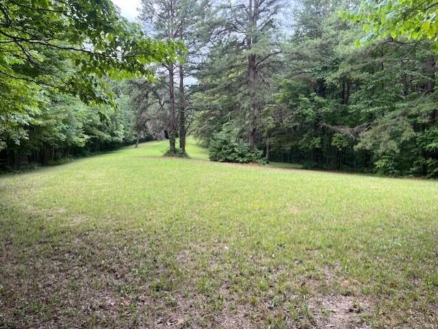23875 Mathias Rd, South Bloomingville, OH 43152 - photo 13