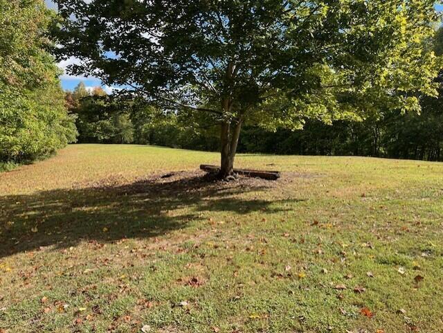 23875 Mathias Rd, South Bloomingville, OH 43152 - photo 19