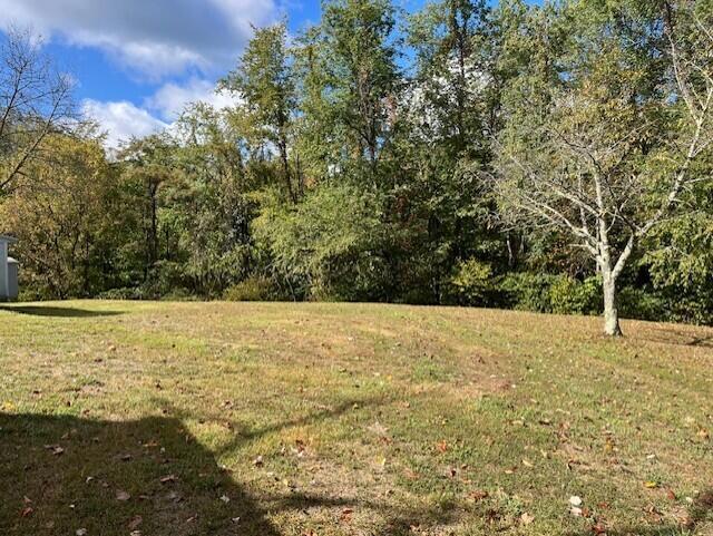 23875 Mathias Rd, South Bloomingville, OH 43152 - photo 21