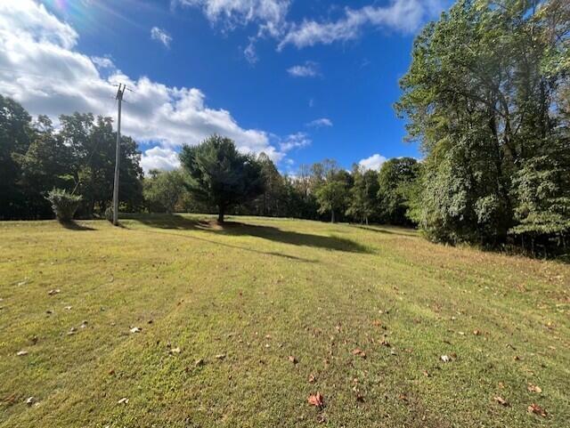 23875 Mathias Rd, South Bloomingville, OH 43152 - photo 25