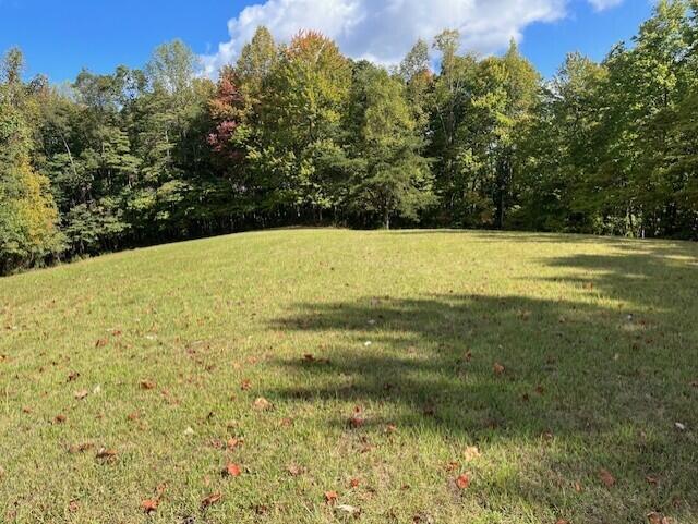23875 Mathias Rd, South Bloomingville, OH 43152 - photo 28