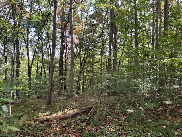 23875 Mathias Rd, South Bloomingville, OH 43152 - photo 29