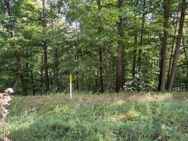 23875 Mathias Rd, South Bloomingville, OH 43152 - photo 32