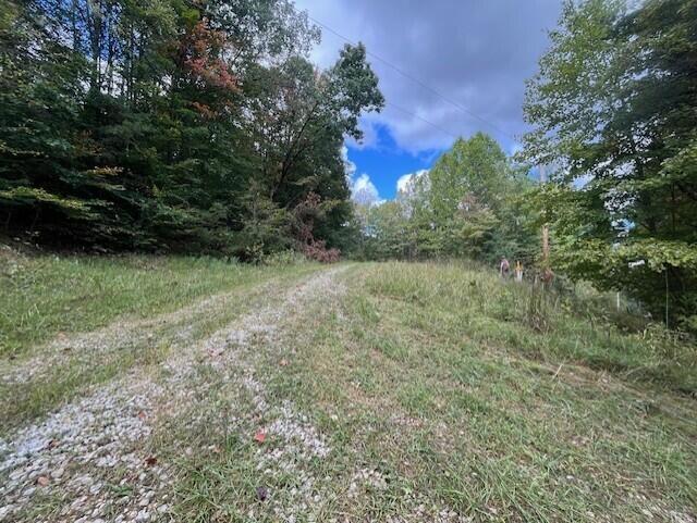 23875 Mathias Rd, South Bloomingville, OH 43152 - photo 33