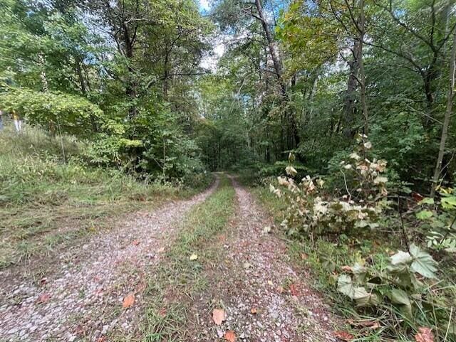 view of road