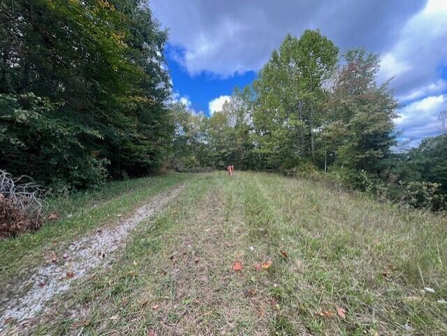 23875 Mathias Rd, South Bloomingville, OH 43152 - photo 35