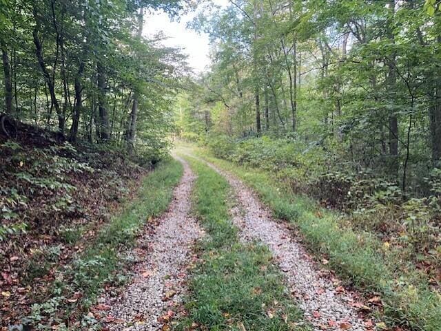 view of road