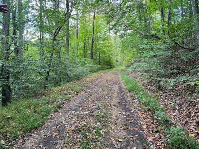 23875 Mathias Rd, South Bloomingville, OH 43152 - photo 37