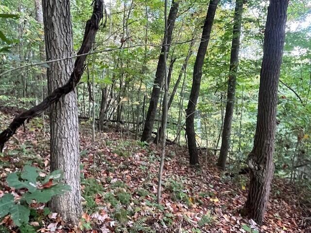 23875 Mathias Rd, South Bloomingville, OH 43152 - photo 44