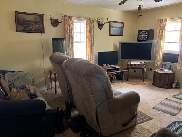 living room with carpet, ceiling fan, and a wealth of natural light