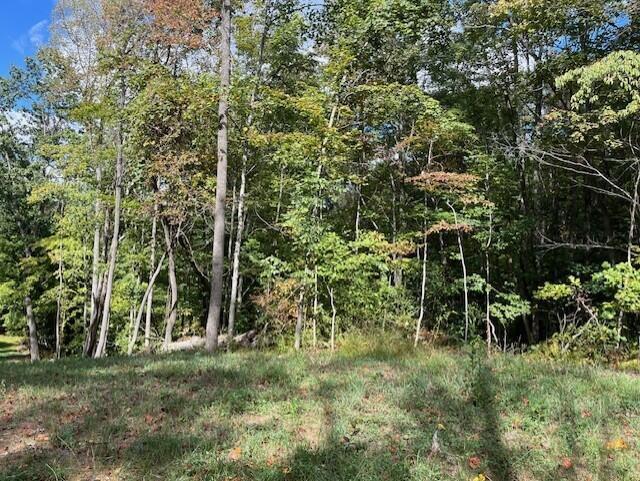 23875 Mathias Rd, South Bloomingville, OH 43152 - photo 49