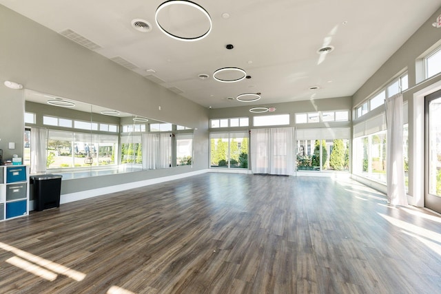 interior space featuring a healthy amount of sunlight and wood-type flooring