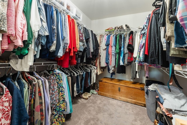 spacious closet featuring carpet