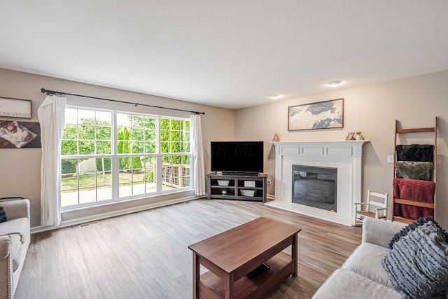 living room with wood-type flooring