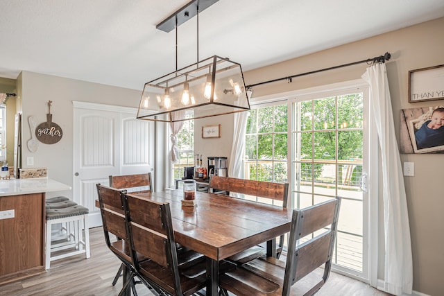 dining room with light hardwood / wood-style flooring