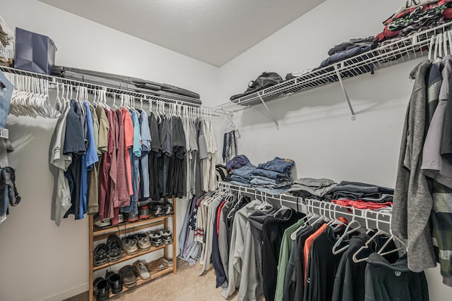 walk in closet with carpet floors