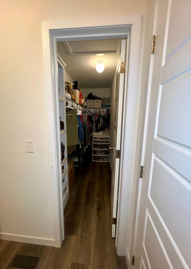 walk in closet featuring dark hardwood / wood-style floors