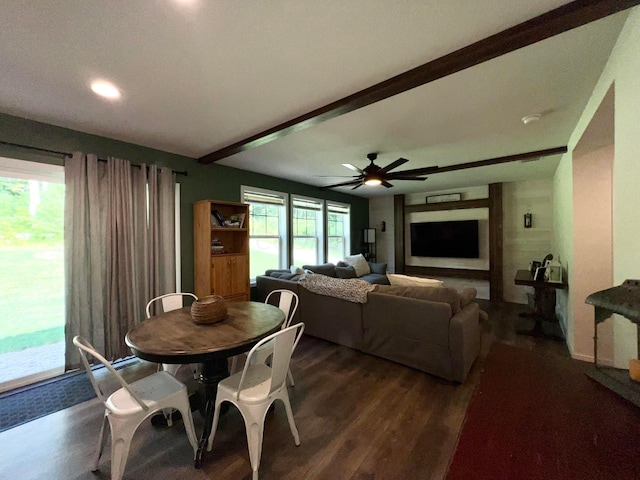 dining room featuring beam ceiling, ceiling fan, and dark hardwood / wood-style floors