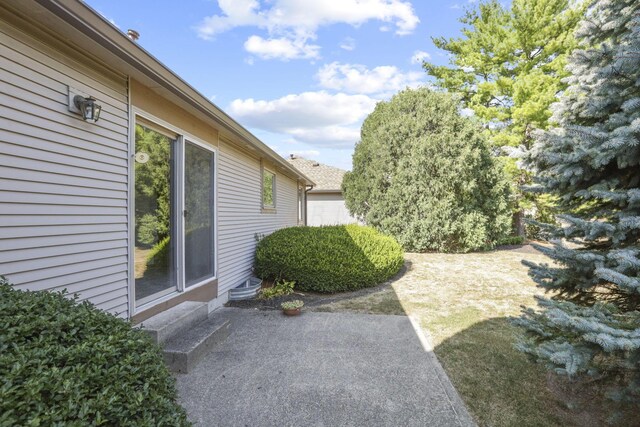 view of yard with a patio