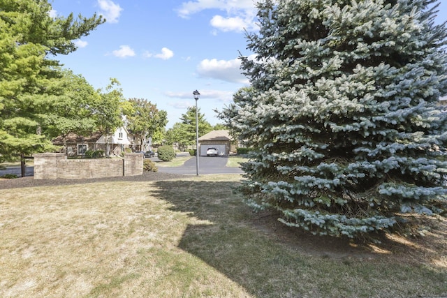 view of yard featuring a garage